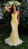 Yellow Mermaid Lace Prom Dresses V-neck Beaded Evening Party HZ0307